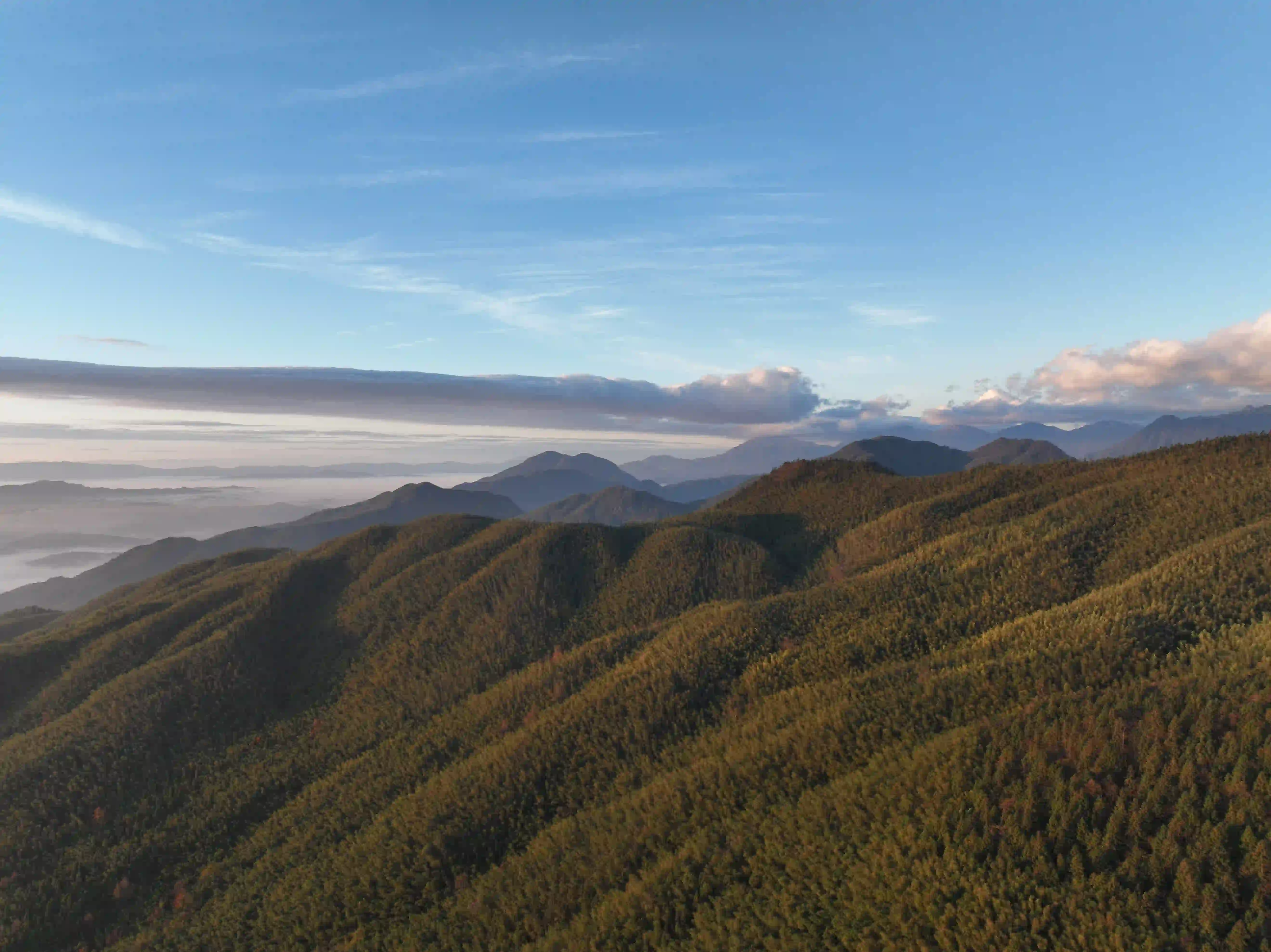 明月山森林雨水